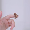 햄동대장 이미지