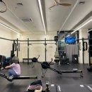 크로스핏 503 이미지