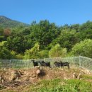 일순농장 이미지