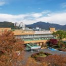 동점초교 이미지