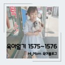 153세탁소 이미지