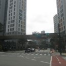 위례중앙초등학교 Daum카페