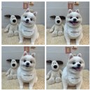 몽아뜨 이미지