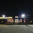 팁시카우 이미지