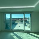 가재월리 이미지