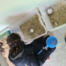 오르농장 이미지