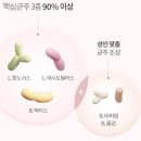 팜케어건강약국 | 아기 키즈 냉장보관 유산균 추천 (돌곶이역 팜케어 건강약국) 서울페이 제로페이 가능 약국 할인 가격