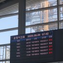 늘푸른아파트할머니 경로당 | [25.09.6~7] 이상한답사단 <고요한 섬 분주한 삶: 어청도>... 가 되고 싶었던 군산 답사기