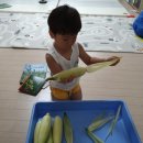 참사이언스 이미지