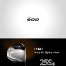 허니골프대구