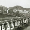 국제1985 네이버블로그