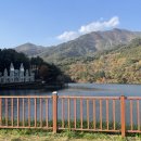 용추힐링랜드 | 청량리역->제천역 의림지 당일치기 여행 후기, 가는 법(feat.무궁화호)