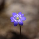 황토주막 이미지