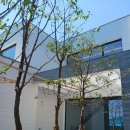 강정동-16 이미지