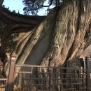 마장3리 이미지