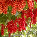 문경(양평)휴게소 이미지