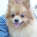 신례2리(공천포) 1 이미지