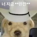 강원관광대우2 | [강원 MICE 서포터즈] 2025 관광 일자리페스타 후기
