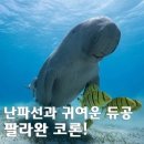 듀공