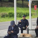 한가로이 이미지