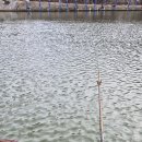 송라손맛터 이미지