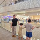 지원수퍼 - 동구 학소로 102-1 | 세노비스 수퍼바이오틱스 콜레스테롤로 콜레스테롤 유산균 루틴으로 여름철 식습관 챙기기