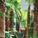 쌈도둑들 이미지