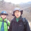최용순농장 Daum카페