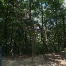 완산-135 Daum카페