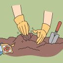 김주용농장 이미지