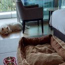 강릉사천농협하나로마트 이미지