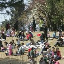 동산연합의원 이미지