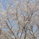 덕풍천동로 이미지