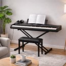 고운선율피아노 | 다시 만난 나의 작은 세상, 디지털 피아노와 함께하는 설레는 시작