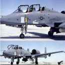 A-10 이미지