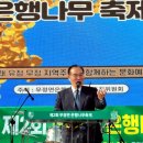 무정면 은행나무 축제 이미지