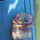 오목낚시터(신창낚시터) 이미지