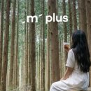 노을숲제주 이미지