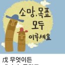 타이어프로동탄신도시점 이미지