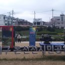 온천천시민공원 동백 이미지