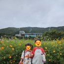 명량대첩해전사 공중화장실1층 | 국가유산방문자여권 국가유산스탬프 소릿길 진도 국립남도국악원, 소릿길 해남 우수영국민관광지 스탬프...