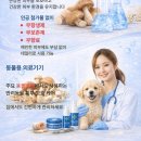 강아지발바닥