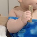 고구마 | 베이비본죽 고구마티딩러스크 후기 9개월 아기간식 추천 이유까지