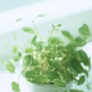 조은 느낌 이미지