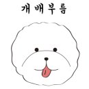 비쥬베르 본점