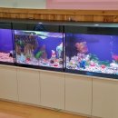 시립매홀어린이집 이미지