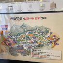 (주)풍물장터 | 이번주에 봄꽃나들이 가야할 [한국민속촌]
