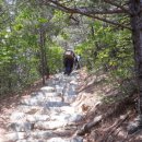 백암 3교 이미지