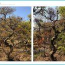 삼보농장 이미지