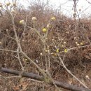 백사농장 이미지